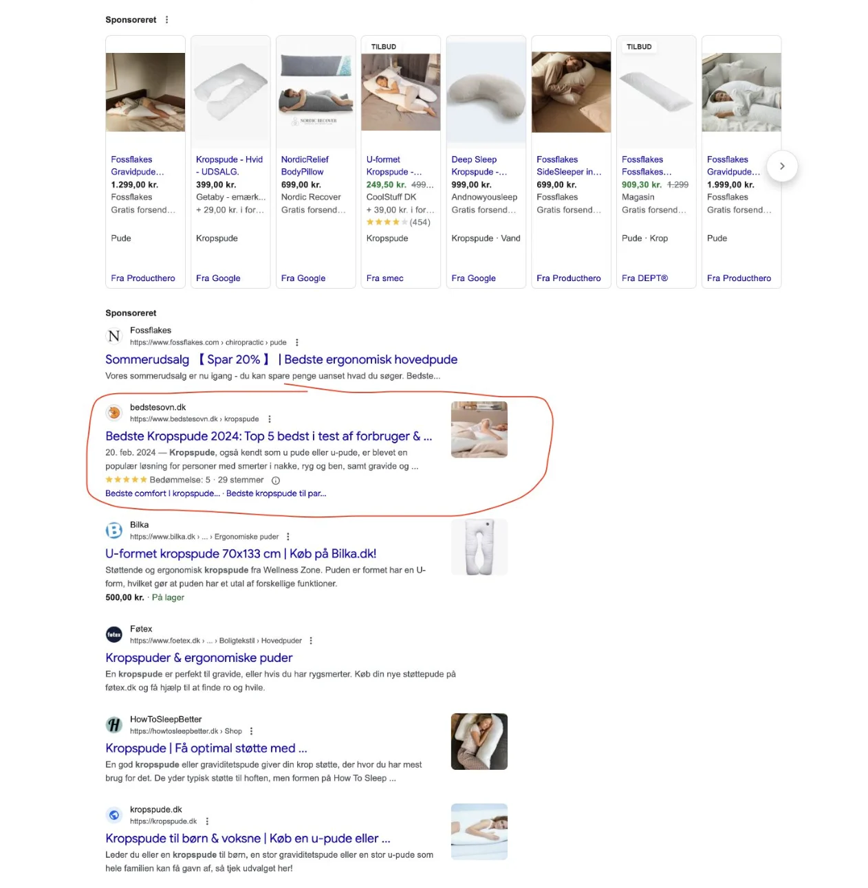 Googles resultatside for søgningen kropspude, hvor bedstesovn.dk ligger som øverste organiske resultat over både Bilka og Føtex